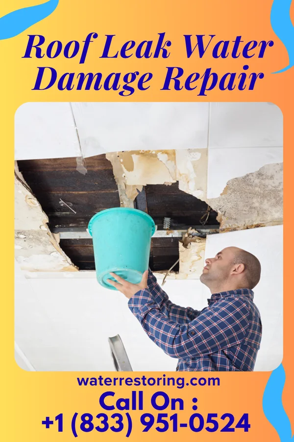 Roof Leak Water Damage Repair in West, TX